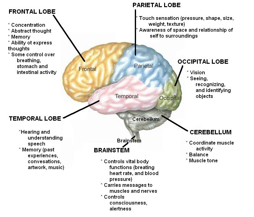 Мозг терапи отзывы покупателей и врачей. Мозг терапи. Музыкотерапия. Музыкотерапия инфографика. Найти мозг терапи капсулы противопоказания.