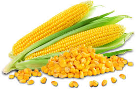 Detoxify Your Kidney With Maize